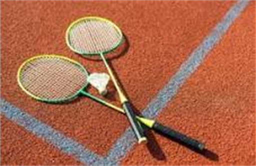 BADMINTON SOLO