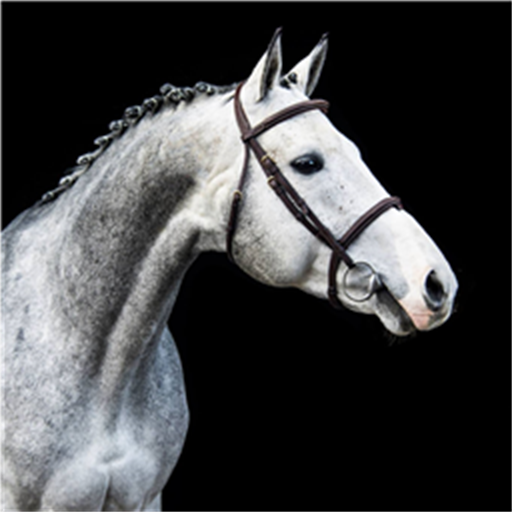 Training Manege